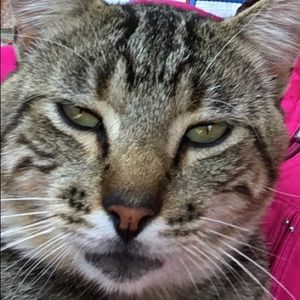 Meet your Posher, Julia